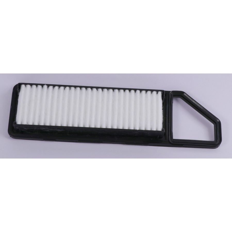 Alto 800 online air filter