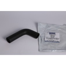 ALTO LXI RADIATER HOSE