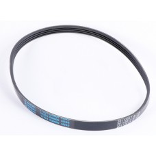ALTO 800 WATER PUMP BELT
